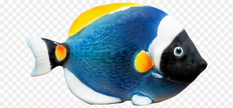 钴蓝喙鱼.阿雷西夫水彩