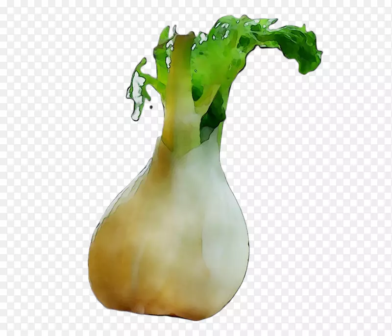 蔬菜花瓶