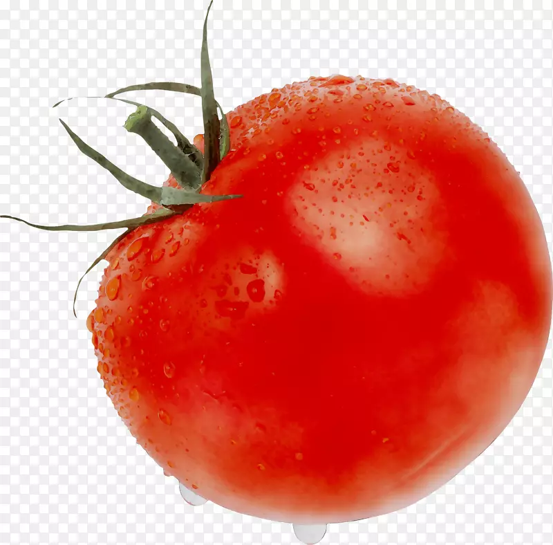 李子番茄食物灌木丛番茄静物摄影