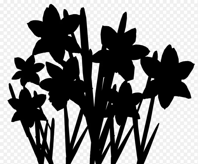字体剪影开花植物叶型