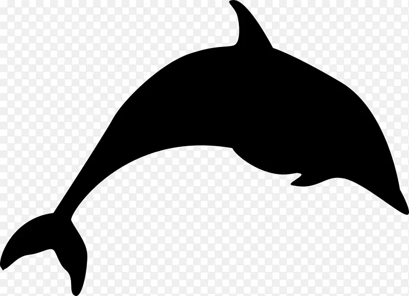 图库西虎鲸海豚剪贴画动物