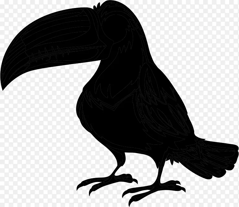 鸟鹦鹉，图科图卡，尖嘴兽