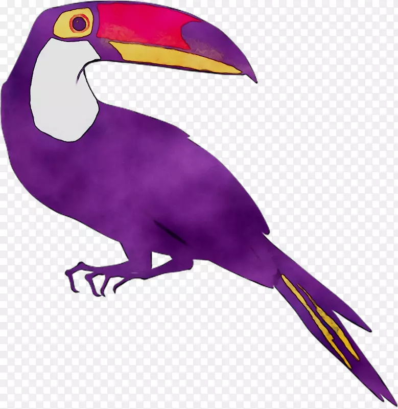 鸟嘴夹艺术紫色动物