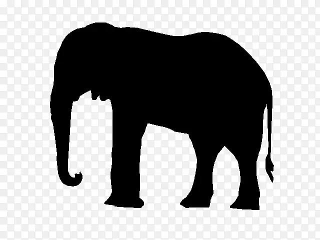 非洲象印度象黑白陆地动物
