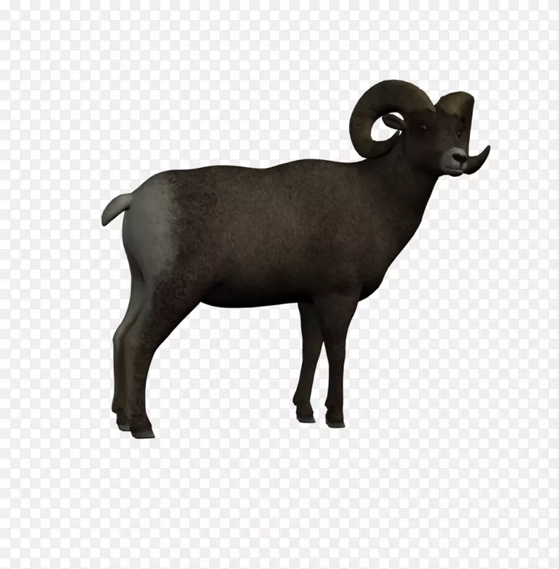 大角羊插图免版税画-羊