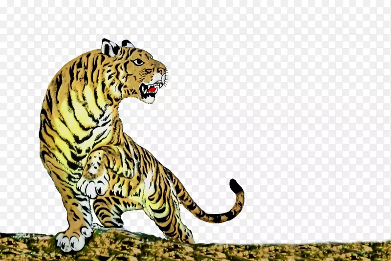 虎豹猫须陆生动物虎