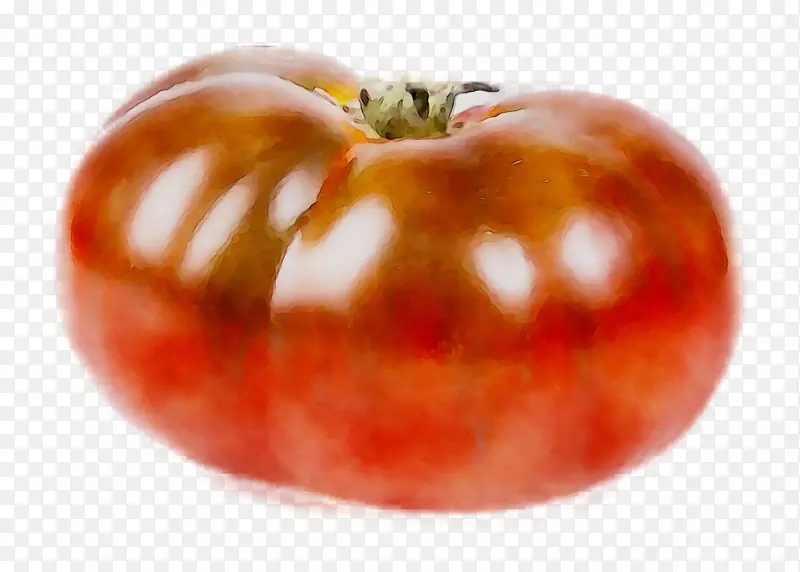 李子番茄食物素食菜灌木丛番茄