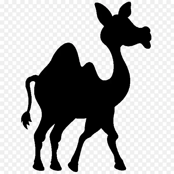 骆驼剪贴画剪影包装动物陆生动物