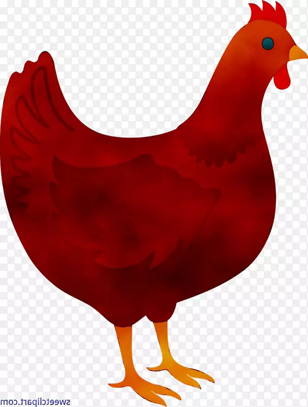 鸡夹艺术鸟万维网