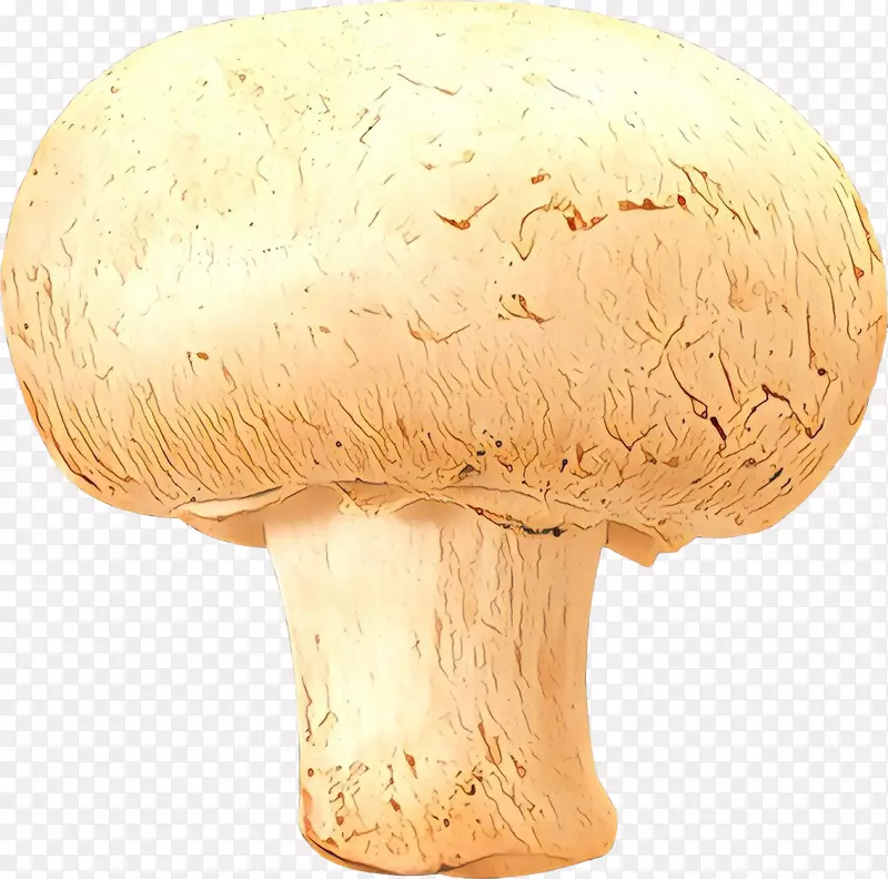 普通蘑菇药用真菌药