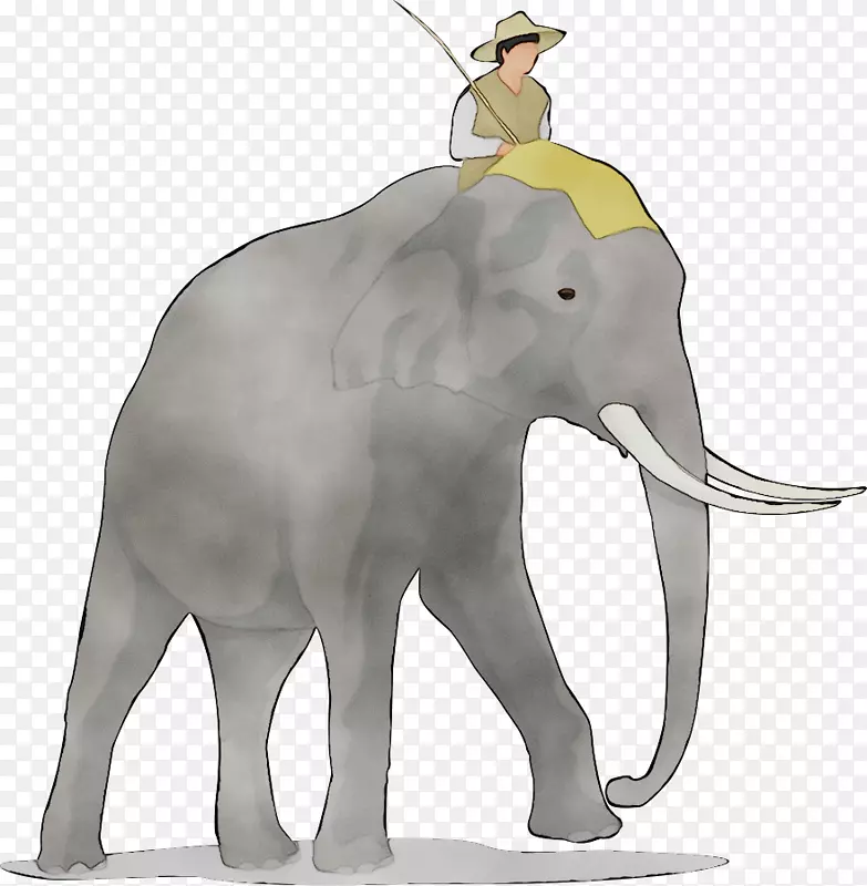 亚洲象非洲灌木象剪贴画图形