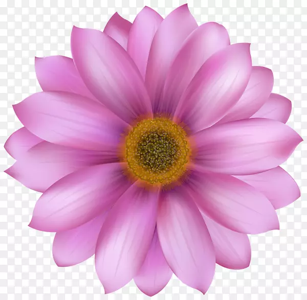 png图片图形插图剪贴画图片粉红色花朵png画廊yopriceville