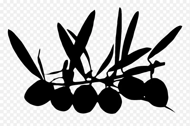 膳食补充剂橄榄叶提取物