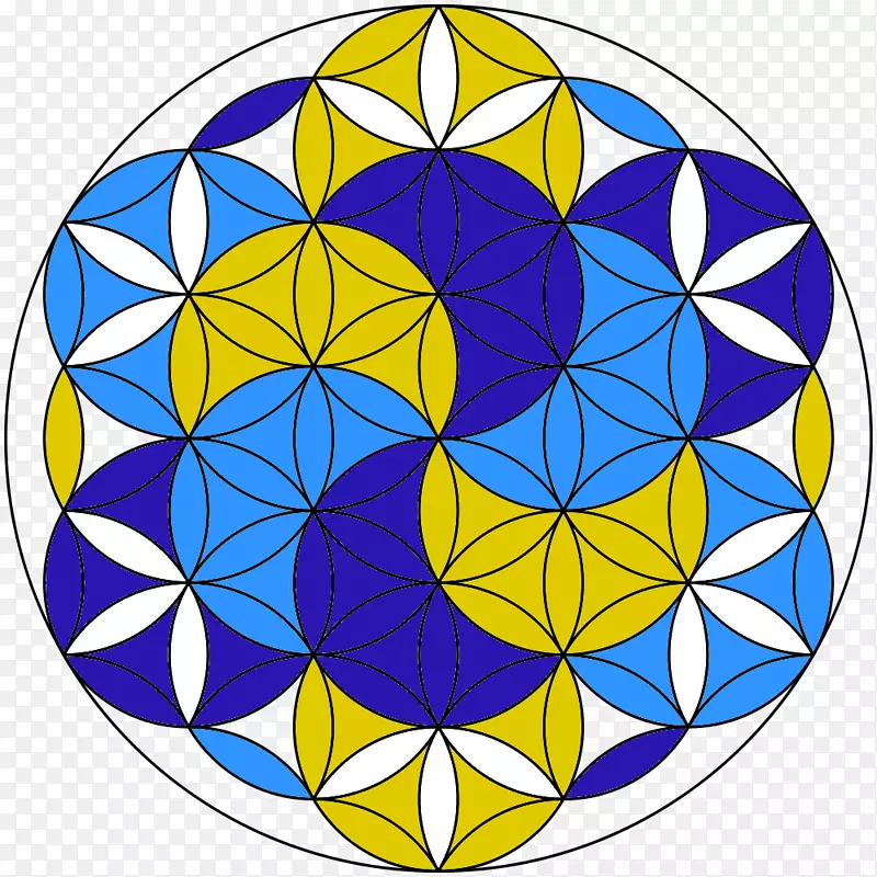 神圣几何重叠圆网格绘图圆