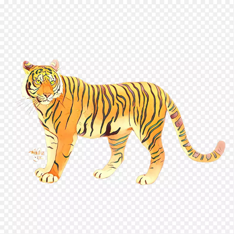 老虎大猫陆生动物