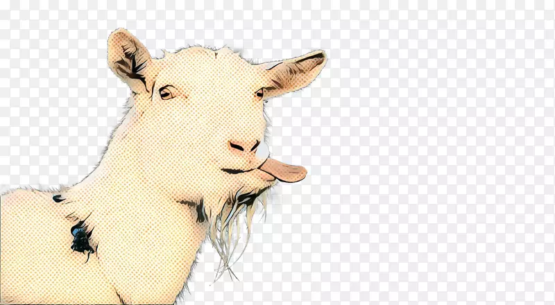 牛羊耳动物鼻子