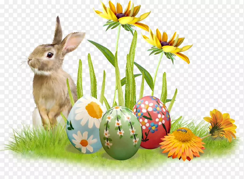剪贴画，寻蛋，png图片，复活节兔子-我借给PNG复活节