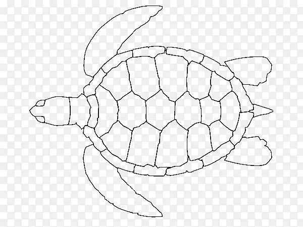 绿海龟甲鱼鹰甲鱼海龟-海龟绘制PNG大纲