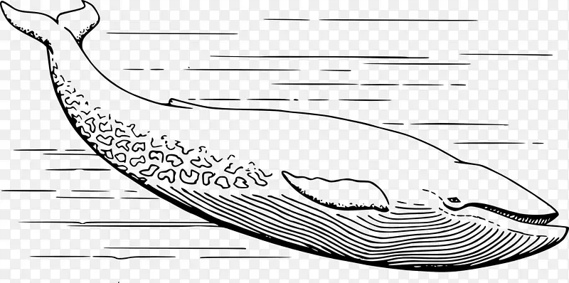 剪贴画图形蓝鲸免费内容-鲸鱼卡通PNG宝宝