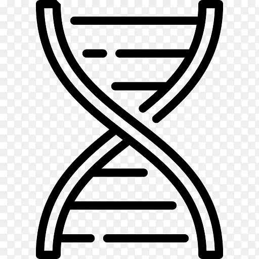 DNA载体图形生物技术说明核酸结构.dna png符号