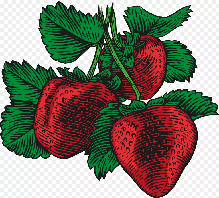 草莓图原图图解