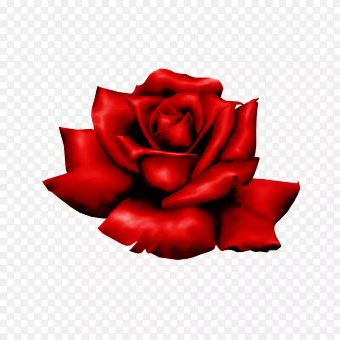 花园玫瑰，png图片，图像剪辑艺术.玫瑰花PNG花瓣