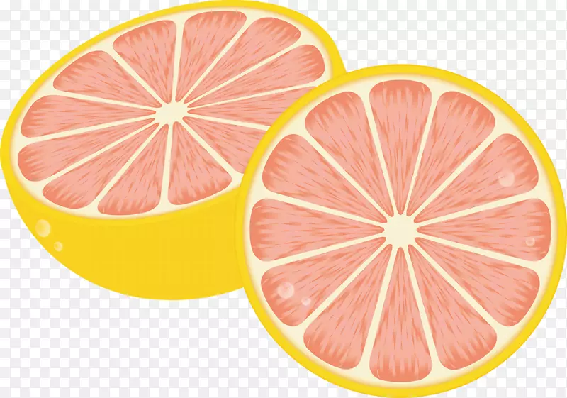 水果插图图形图像柚子-葡萄柚