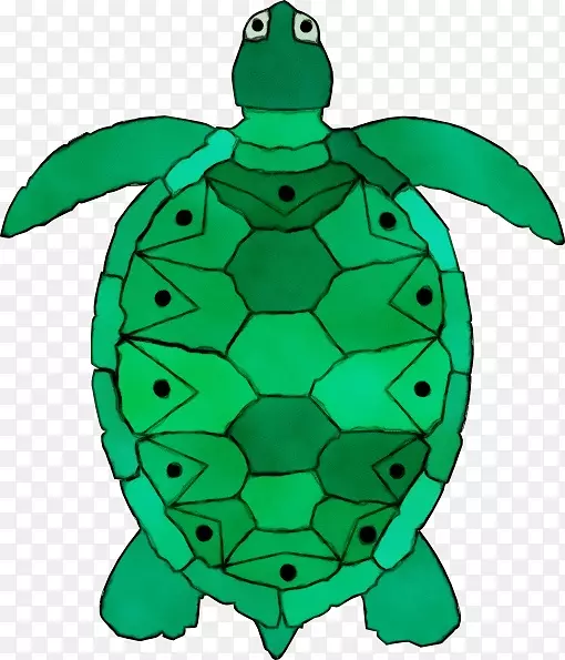 海龟剪贴画免费内容开放部分