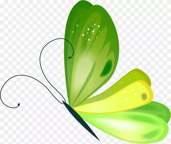 蝴蝶图像剪辑艺术插图png图片蝴蝶动画PNG绿色