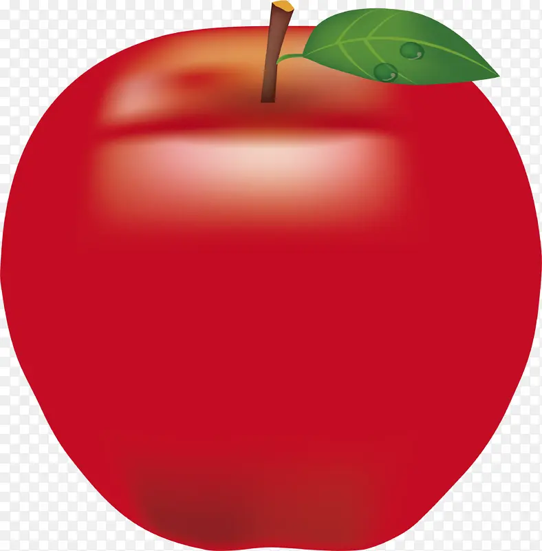 苹果 麦金托什红 水果