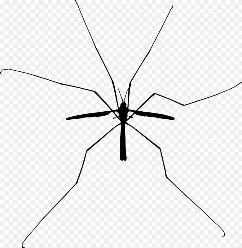 昆虫 蚊子 蚂蚁