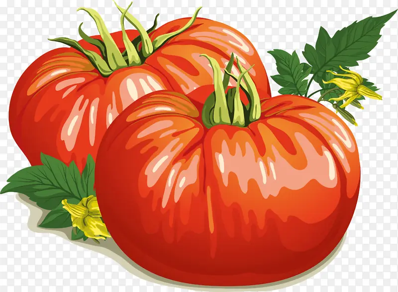番茄汤 蔬菜 食品