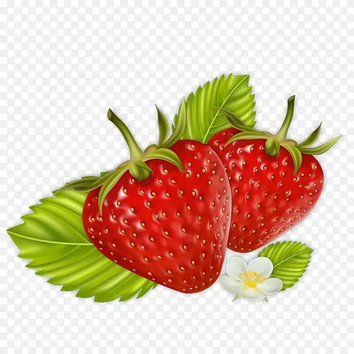 草莓 覆盆子 水果