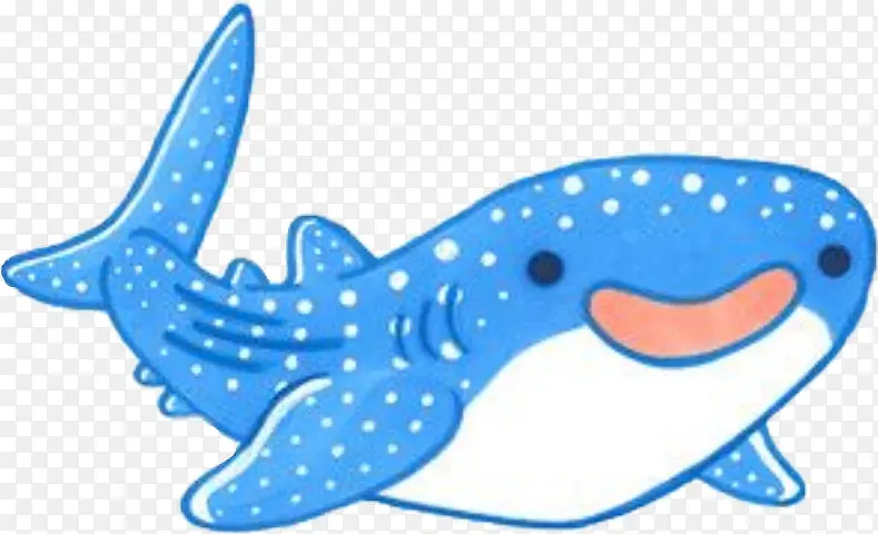 鲨鱼 鲸鲨 鲸鱼