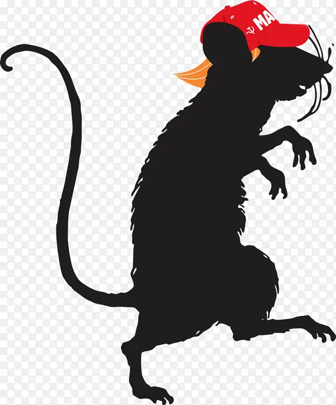老鼠 剪影 实验室老鼠