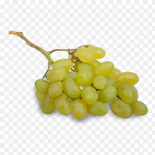 葡萄 无籽水果 食品