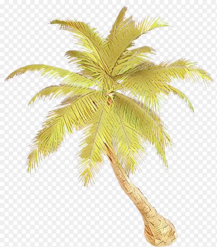 采购产品棕榈树 树 椰子