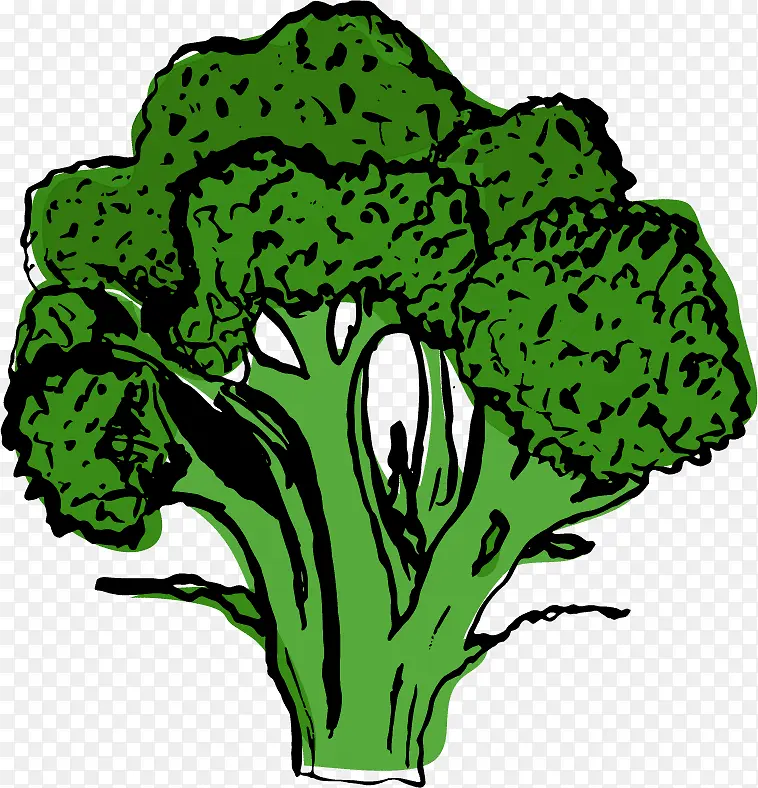 绿色植物 叶子 蔬菜