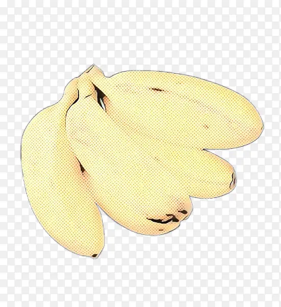 香蕉 香蕉家族 黄色