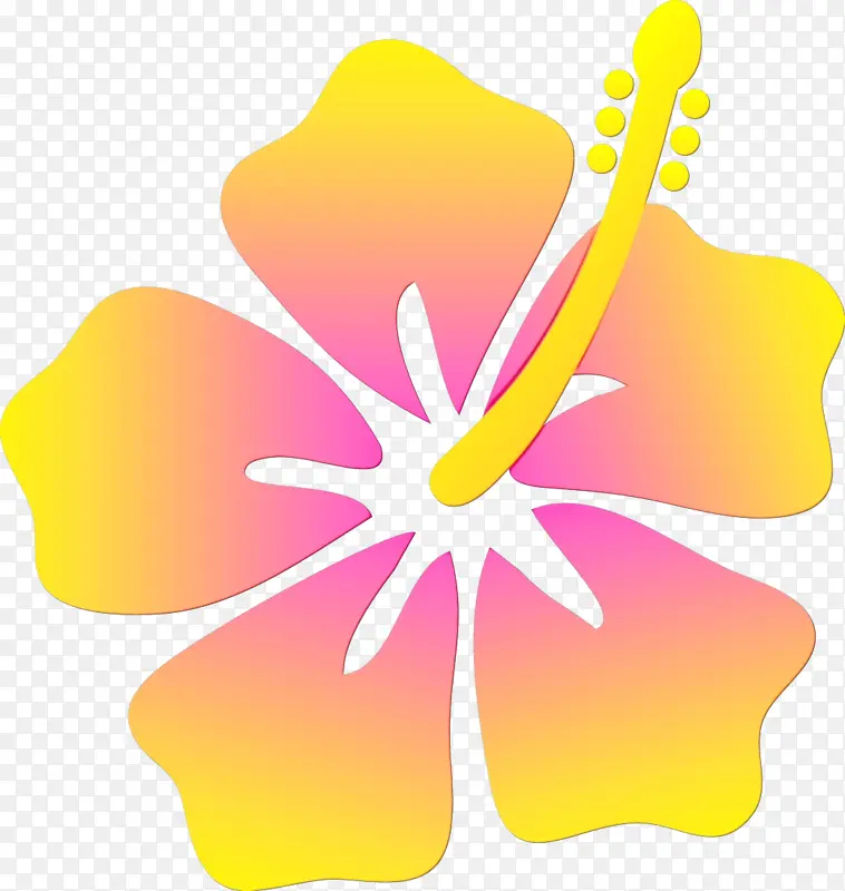 夏威夷卢奥 玫瑰葵 夏威夷木槿