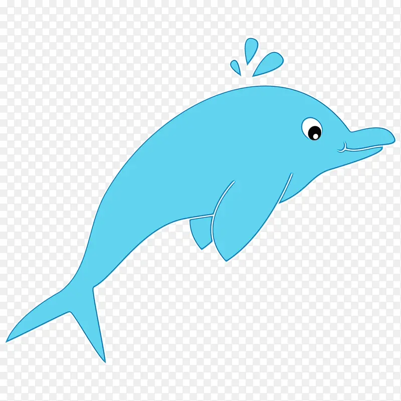 海豚 海 海洋海豚