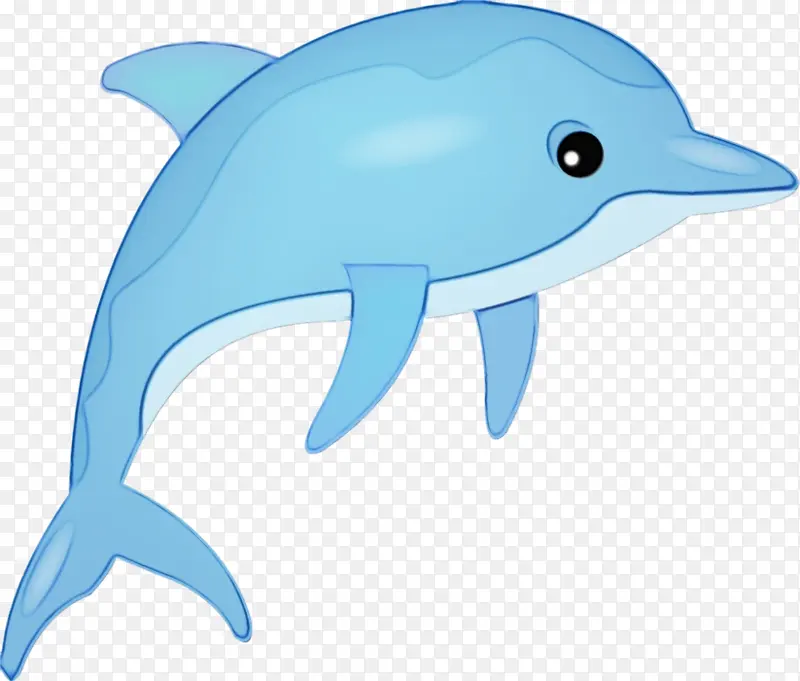 海豚 卡通 鲸鱼