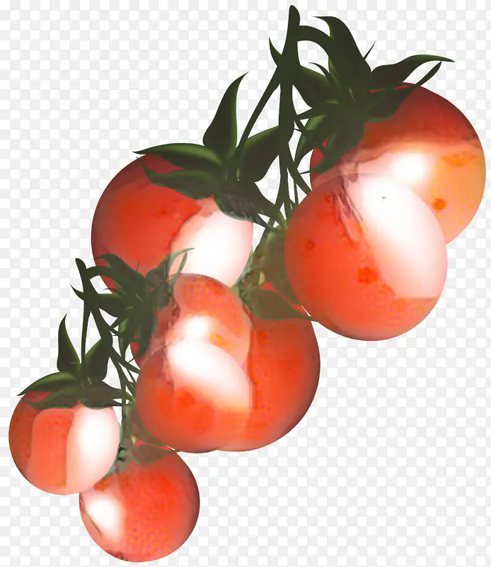樱桃番茄 蔬菜 番茄酱
