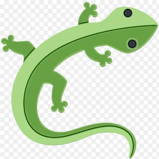 蜥蜴 青蛙 绿色