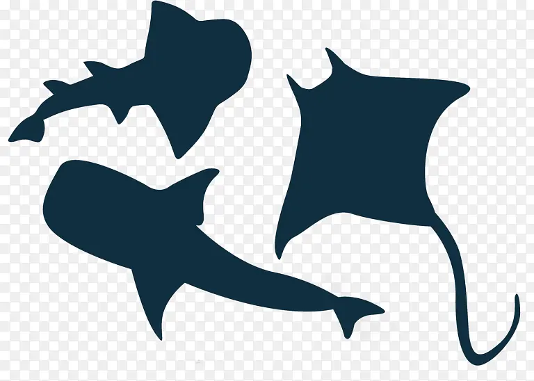鲨鱼 大白鲨 剪影