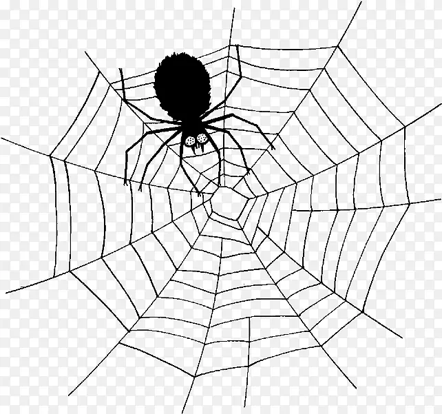 蜘蛛 蜘蛛网 绘画
