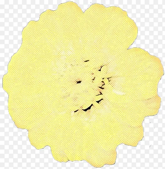 花瓣 黄色 切花