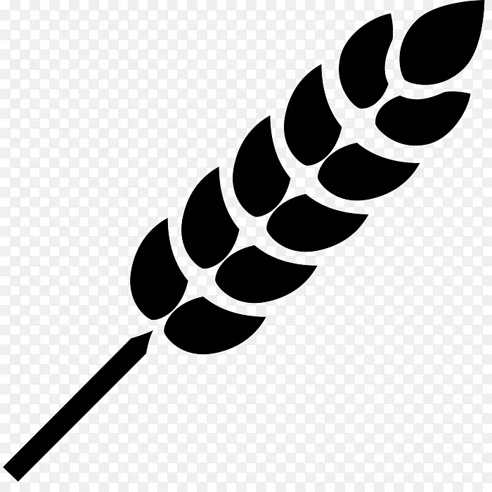 无麸质饮食 麸质 小麦过敏
