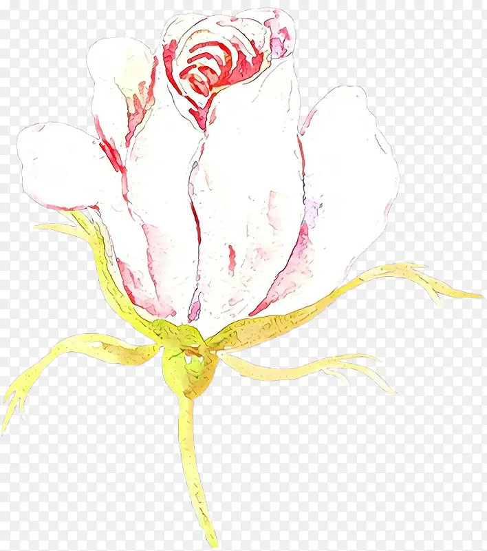 玫瑰系列 绘画 花卉设计