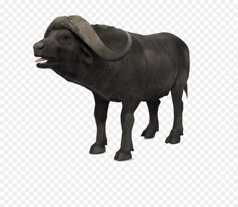 水牛 动物 雕塑